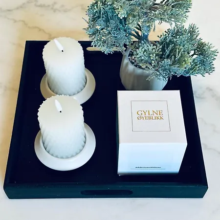 Wigart Cosy Apartment Tønsberg