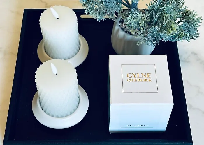 Wigart Cosy Apartment Tønsberg